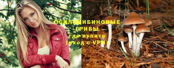 МДПВ Мегион